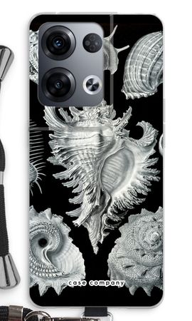 Haeckel Prosobranchia