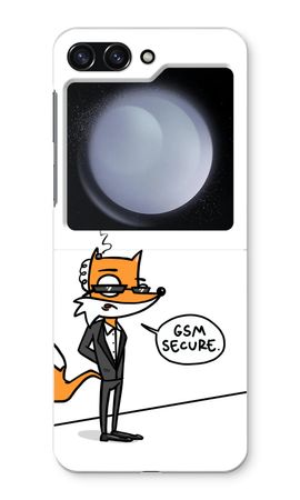 GSM secure