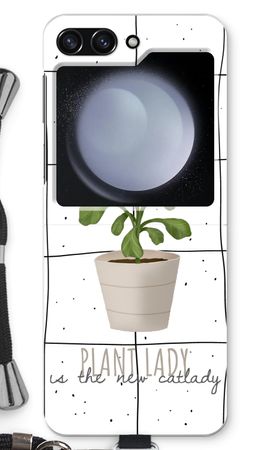 Houseplant on windowpane