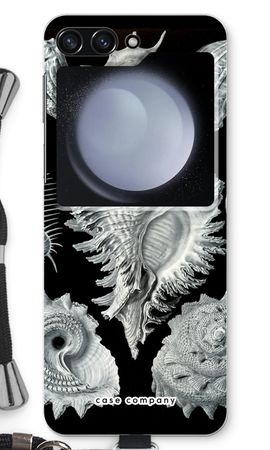 Haeckel Prosobranchia