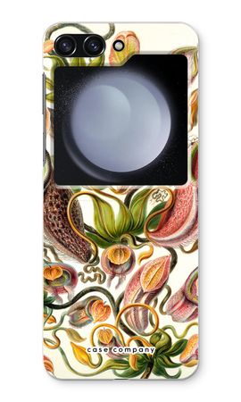 Haeckel Nepenthaceae