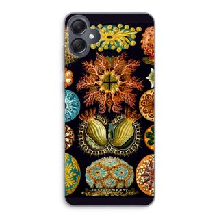 Haeckel Ascidiae