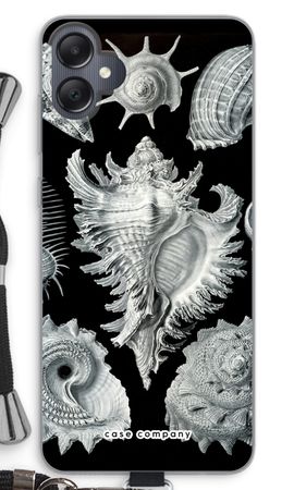 Haeckel Prosobranchia