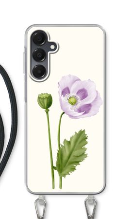 Purple poppy