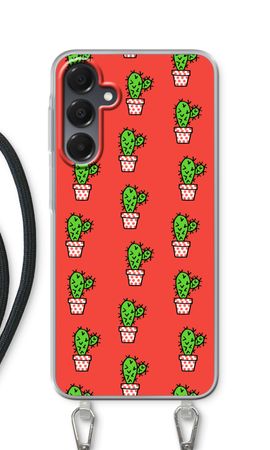 Mini cactus