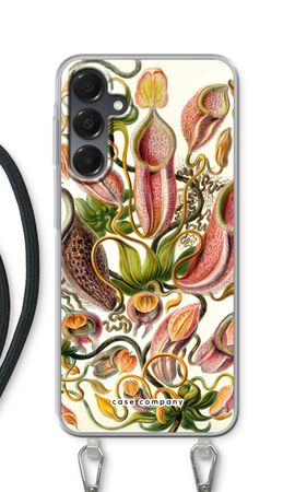 Haeckel Nepenthaceae