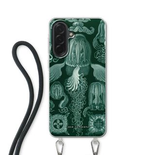 Haeckel Cubomedusae