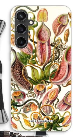 Haeckel Nepenthaceae