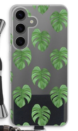 Monstera leaves