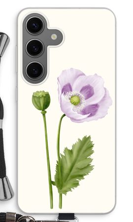 Purple poppy