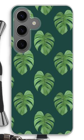 Monstera leaves
