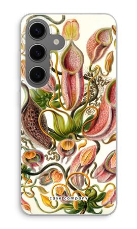 Haeckel Nepenthaceae