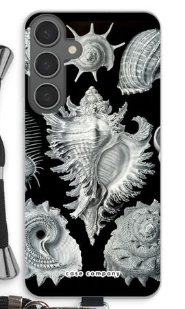 Haeckel Prosobranchia