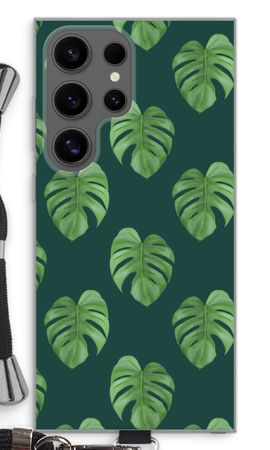Monstera leaves
