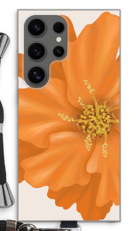 Orange Ellila flower