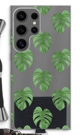 Monstera leaves
