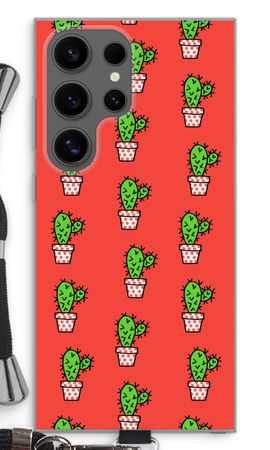 Mini cactus
