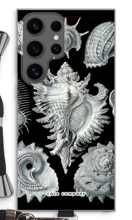 Haeckel Prosobranchia