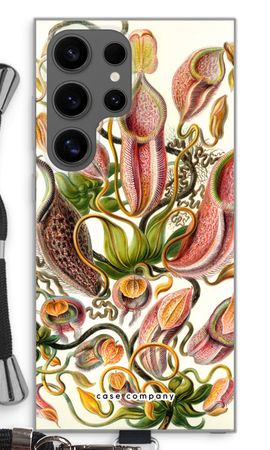 Haeckel Nepenthaceae