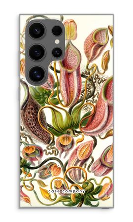 Haeckel Nepenthaceae