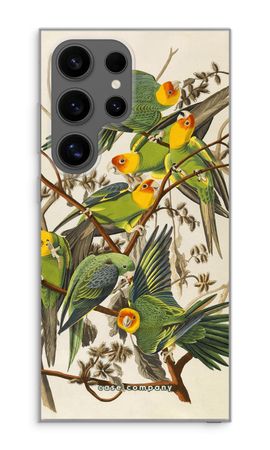 Carolina Parrot