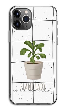 Houseplant on windowpane