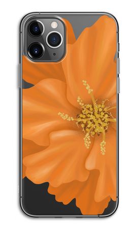 Orange Ellila flower