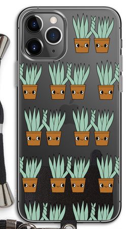 Sansevieria