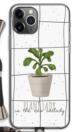 Houseplant on windowpane