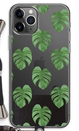 Monstera leaves