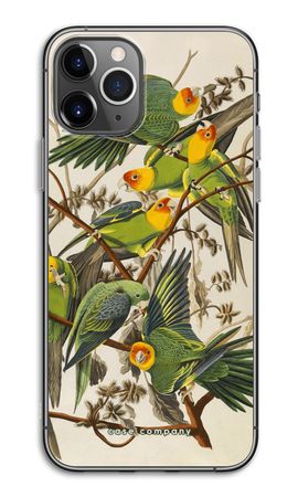Carolina Parrot