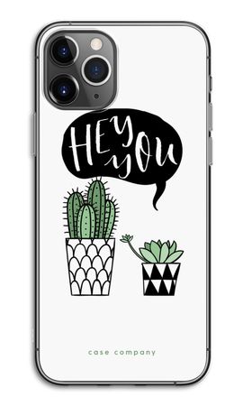 Hey you cactus