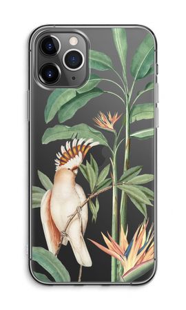 Pappagallo tropicale