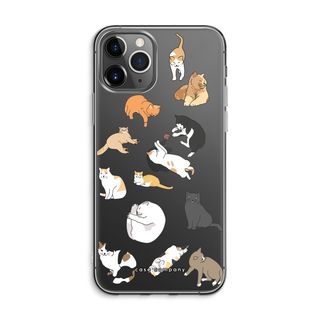 Cats