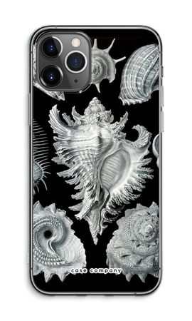 Haeckel Prosobranchia