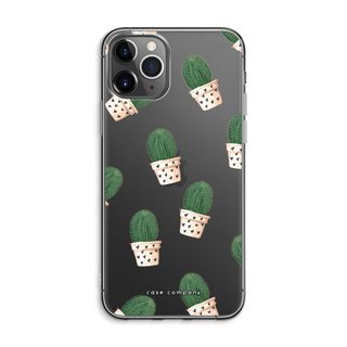 Cactus rosa