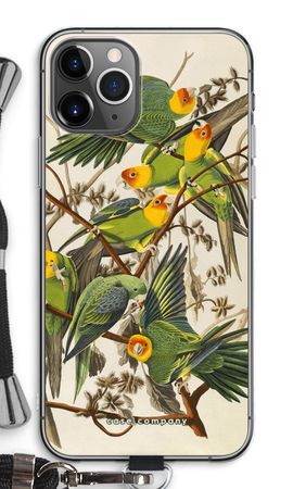 Carolina Parrot