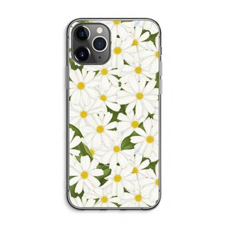Summer Daisies