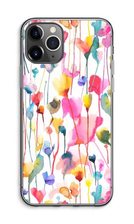 Wild Colorful Flowers