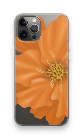 Orange Ellila flower