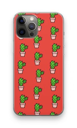 Mini cactus