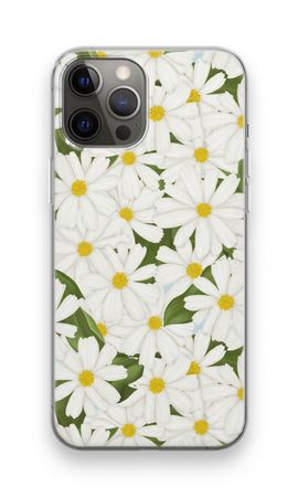 Summer Daisies