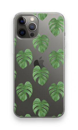 Monstera leaves