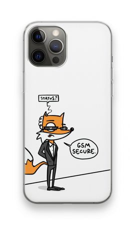 GSM secure