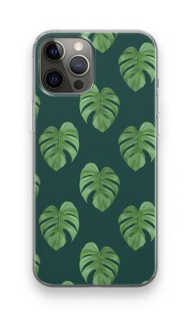 Monstera leaves