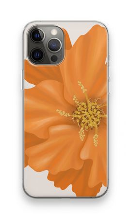 Orange Ellila flower