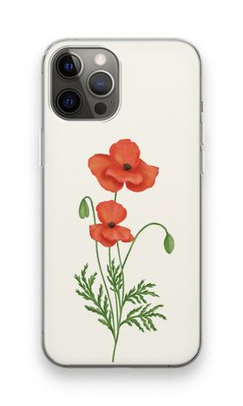 Red poppy