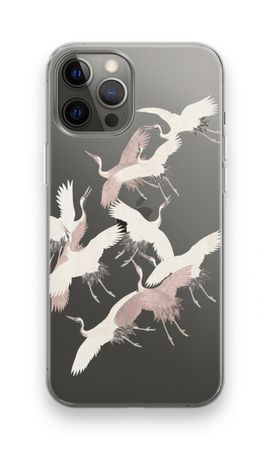 Japanse kraanvogels