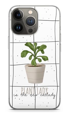 Houseplant on windowpane