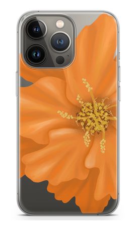 Orange Ellila flower